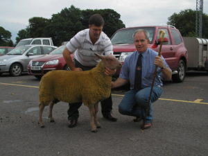 Dungannon Sale