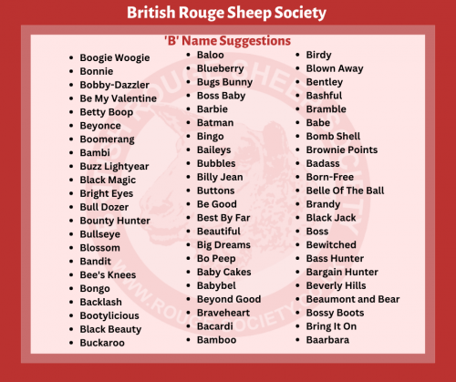 British Rouge Sheep Society 'B' Name Suggestions
