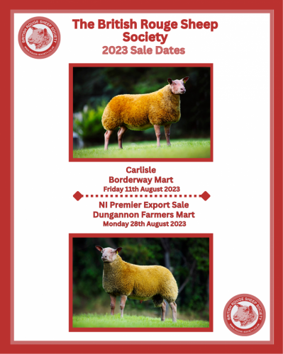 The-British-Rouge-Sheep-Society-Sale-Dates-2023